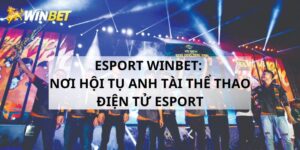 Esport Winbet